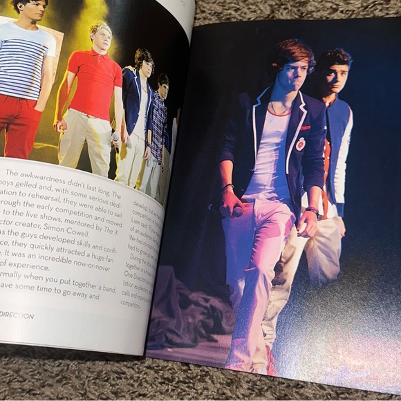 One Direction Book - Picture 5 of 6